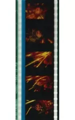 カミュ*コマフィルム４枚セット 4点】カミュ コマフィルム 4点】カミュ コマフィルム Amazon.co.jp