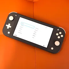 Nintendo Switch Lite グレー 2023年製