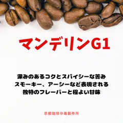 焙煎コーヒー豆　マンデリン・G1 生豆1００ｇ