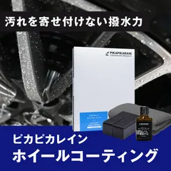 【公式出品】ピカピカレイン ホイールコーティング[TOP-WHEEL]