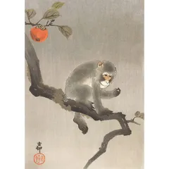 2025年最新】小原祥邨の人気アイテム - メルカリ