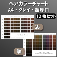 ヘアカラーチャート グレイカラー(白髪染め) A4超厚口両面 10枚セット
