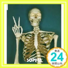 2025年最新】SOPHIA 進化論の人気アイテム - メルカリ