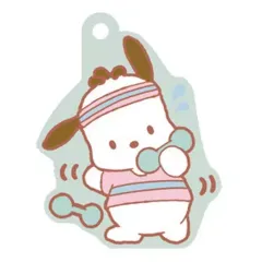 【中古】食玩 キーホルダー 8.ポチャッコ 「サンリオキャラクターズ ぷっくりラバマスグミ2」