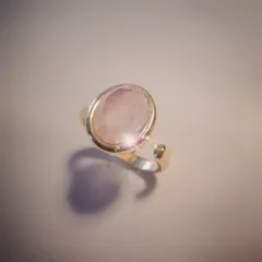 ペットちゃんの毛アクセサリー　指輪　オーダー