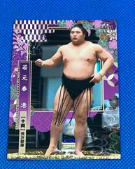 大相撲　若元春　力色紙　vol.4 大相撲 若元春 力色紙 vol.4 若元春 | 大相撲公式ファンクラブ