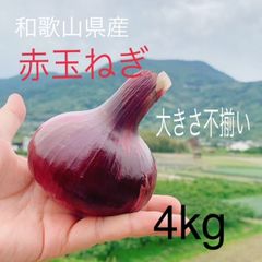 和歌山県産　赤玉ねぎ　サイズ不揃い　4キロ