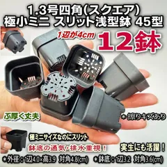 一辺4cmスリット鉢で最小-1.3号四角(スクエア)極小ミニスリット浅型鉢45型-黒-12鉢★ぶ厚い高機能ミニプラ鉢＊擦り傷有＊多肉・塊根植物コーデックス・アガベ・サボテン・観葉・ハオルチア・アデニウム・パキポディウム＊グラキリス・実生＠フラワーショップ江口