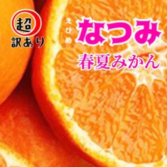 春夏みかん　なつみ　超訳あり　3.2キロサイズ不揃い　北海道、沖縄のお客様発送不可です