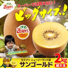 キウイ 果物 ゼスプリ 超大玉 サンゴールドキウイ 2kg（スーパーでは買えない超大玉サイズ）※北海道・沖縄離島 発送不可