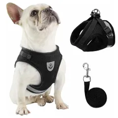 新品 NC メッシュ 犬用 ハーネス 胴輪 反射材料付き リード セット 超小型犬 小型犬 子犬 猫 散歩/訓練/お出掛 ペット はーねす 安全 抜けない 軽量 調節可能 通気性が