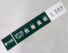 Item thumbnail for item 407ee84c-7301-4a88-ba2a-4adc052d9bdd