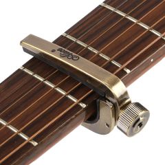 Item thumbnail for item 23738760-419a-4015-b7f3-82b2e68dc5dc