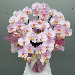造花胡蝶蘭Mサイズ5本立　絞りピンク（造花）約高70×幅40　光触媒コーティング