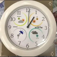 エンペックス ウェザーパル 晴天望機