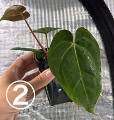 ショップの評価