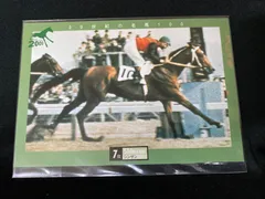 週刊100名馬 全100巻 + EX5巻 週刊100名馬 全100巻 + EX5巻