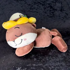 大幅値下げ。しんじょう君 サイン入りレアグッズ ニホンカワウソ探索記 大幅値下げ。しんじょう君 サイン入りレアグッズ ニホンカワウソ