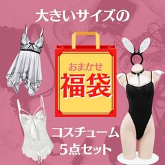 新品 大きいサイズ コスチューム 5点セット 福袋 お任せ コスプレ ストッキング 網タイツ ボディストッキング 全身タイツ セクシー ランジェリー コスプレ インナー ベビードール レディース メンズ 女装 XL XXL 新品 ビッグサイズ クイーンサイズ