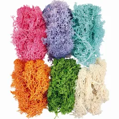 セール琉球*プリザモスフィンランドモスハーバリウムレジン0720-G