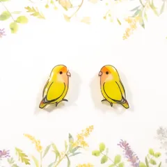 2025年最新】コザクラインコ ピアスの人気アイテム - メルカリ