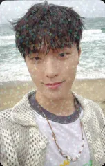 SEVENTEEN DINO SPILL THE FEELS Weverse JAPAN トレーディングカード ホログラム