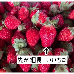 ショップの評価