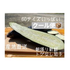 クール便　６０サイズ　箱いっぱい　産地直送　農家直送　朝採り　新鮮野菜　野菜　茄子　ナス