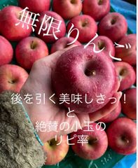 減農薬栽培山形県東根市産　りんごの王様ふじ！パック詰め小玉5キロ28玉入り