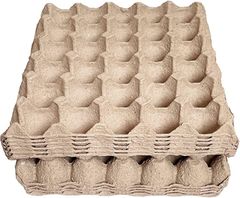 Item thumbnail for item 0d854130-e6eb-42a8-abe2-03c30e4dcd49