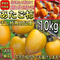 あたご柿 (愛宕柿) 愛媛県 丹原産  約 10kg 大玉（L～３Lサイズ混合）