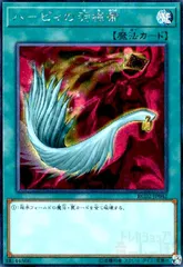 2026年最新】ハーピィの羽根帚 25の人気アイテム - メルカリ