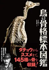 2024年最新】骨格標本 鳥の人気アイテム - メルカリ