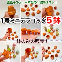 ミニテラコッタ鉢-1号(外径直径φ3cm×高さ2.5cm)×5鉢セット※鉢のみ＊エアプランツや多肉植物は付属しません＠フラワーショップ江口