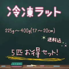 2023年最新】冷凍ラットの人気アイテム - メルカリ