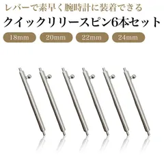 スマートウォッチ ピン 22mm 24mm スライド式 バネ棒 クイックレバー クイックリリーススプリングバー 腕時計 18mm 20mm