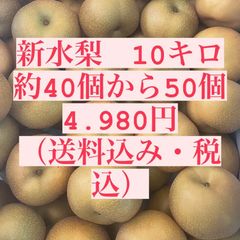 大特価！大玉！梨　新水　10㎏のサムネイル