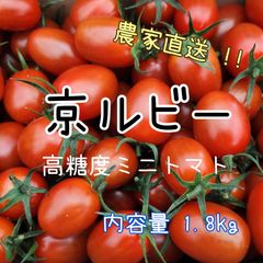 【京ルビー内容量1.8kg】高糖度フルーツミニトマト
