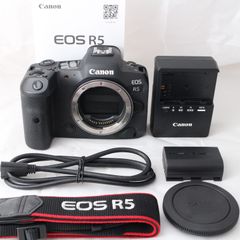 ☆美品・ショット数6000☆ Canon ミラーレス一眼カメラ EOS R5 ボディー EOSR5 キヤノン #3862