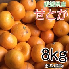 愛媛県産 せとか 8kg 2999円 訳あり家庭用 柑橘