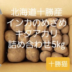 メルカリShops - 北海道産 じゃがいも Sサイズ 箱込み5キロ