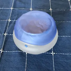 資生堂 ばら園 ブルーローズ ルームフレグランス 容器