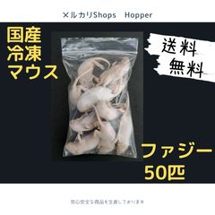国産冷凍マウス ファジー 100匹 (一部地域発送不可) 国産冷凍マウス ファジー 50匹 (送料無料一部地域発送不可) - メルカリ