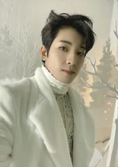 SEVENTEEN WONWOO あいのちからポップアップ