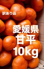 愛媛県　甘平　柑橘　 10kg