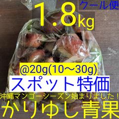 〈スポット特価〉沖縄県産 摘果マンゴー/青マンゴー@20g(10〜30g)約1.8kg【クール便】⑥
