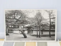 戦前 絵葉書 ポストカード 大量 178枚 観光地 青島 チンタオ 中国 