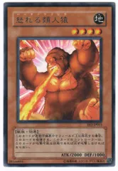遊戯王 - ゴリラ　遊戯王　24枚セット 楽天市場】ゴリラ（関連作品遊戯王）（トレーディングカード