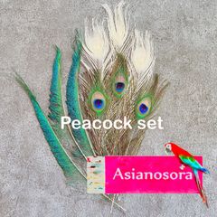 ❤️◾️⭐︎【クジャク3セット】白 孔雀の羽　 剣  目玉  鳥の羽根