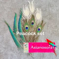 ❤️◾️⭐︎【クジャク3セット】白 孔雀の羽　 剣  目玉  鳥の羽根